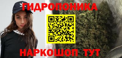 PSILOCYBIN Берёзовский