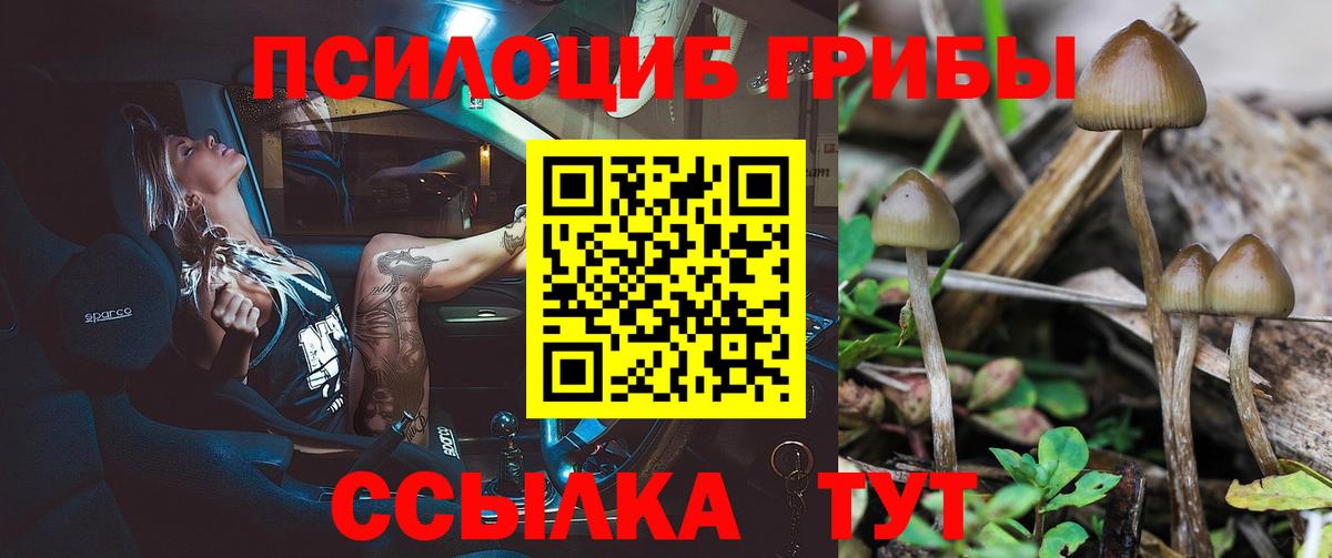 Псилоцибиновые грибы мухоморы Будённовск